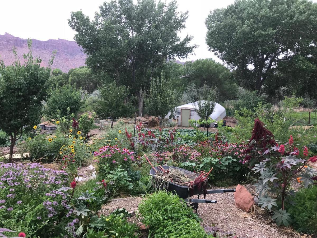 Red Moon Lodge Moab Ngoại thất bức ảnh